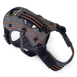 Bundle Harness &amp; Running Leash